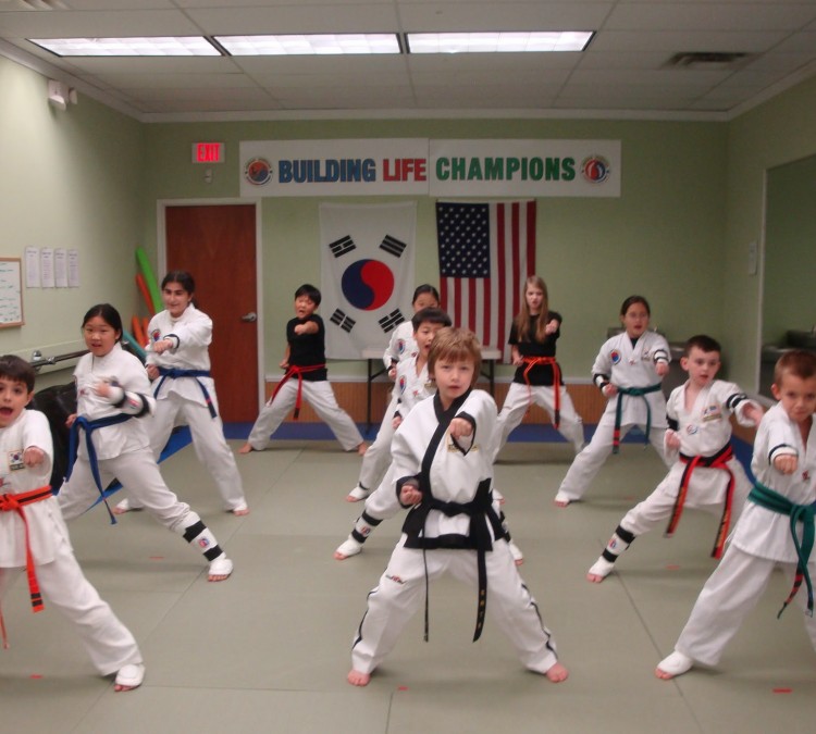 Gold Medal Taekwondo Academy (Matthews,&nbspNC)